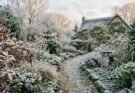 Frosted Garden