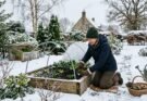 Gardening in the Winter