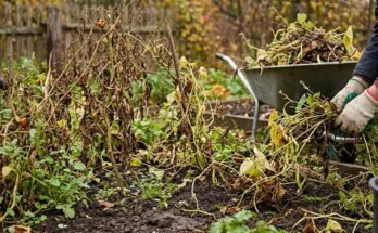How to Winterize Garden Beds