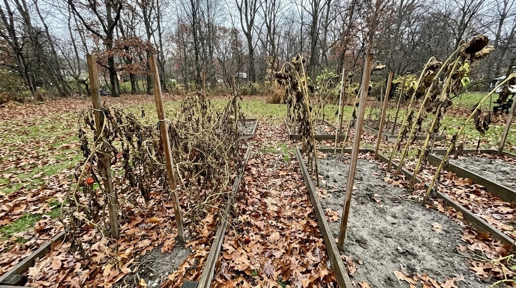 Mistakes When Preparing Your Garden for Winter