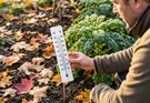 When to Winterize Your Garden