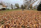 Winterizing Your Lawn