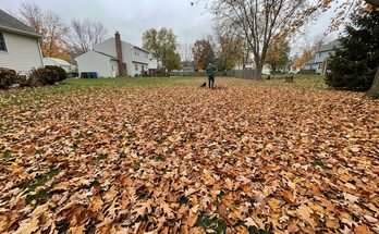 Winterizing Your Lawn