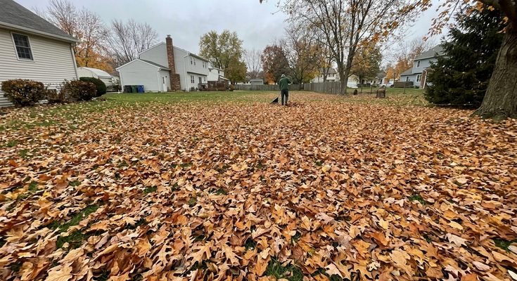 Winterizing Your Lawn