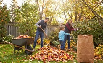 Fall Garden Cleanup