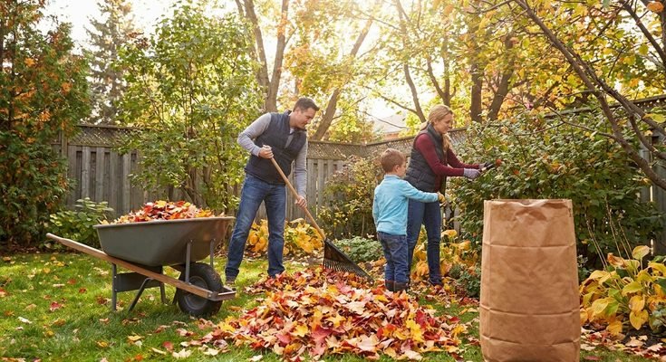 Fall Garden Cleanup