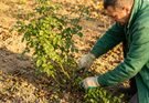 Garden Winterization Mistakes to Avoid: Common Problems and How to Prevent Them
