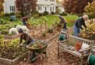The 72-Hour Garden Winterization Plan for a Sudden Freeze