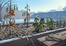 What to Do After the First Frost: A Practical Garden Assessment Guide