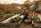 What to Do Before the First Frost: A Practical Garden Preparation Guide
