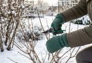 Winter Garden Maintenance Schedule: A Practical Month-by-Month Guide