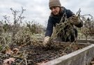 How to Winterize an Organic Garden: A Practical Natural Approach