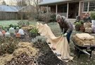 How to Protect Plants From Frost: A Practical Garden Protection Guide