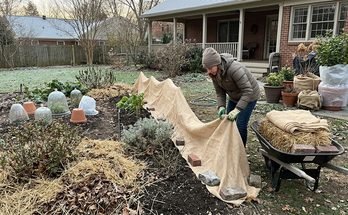 How to Protect Plants From Frost